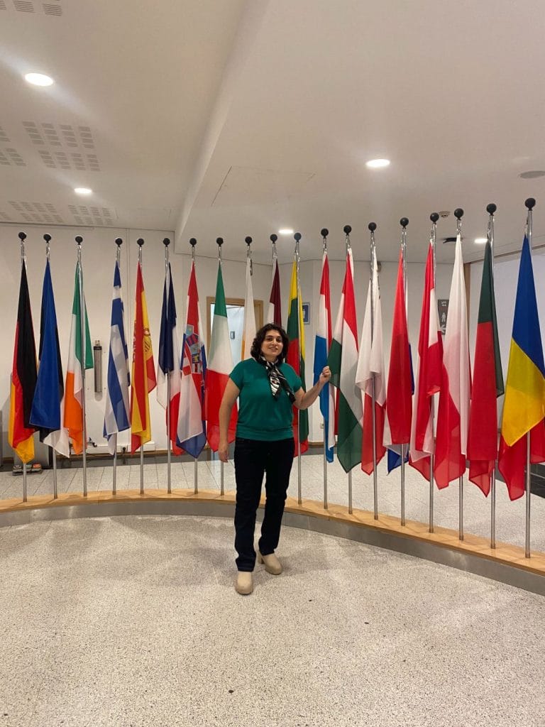 International flags